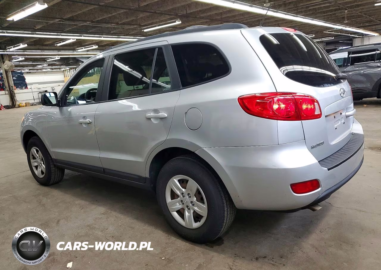 2009 Hyundai Santa Fe Gls VIN:5NMSG13D19H291081 - 2