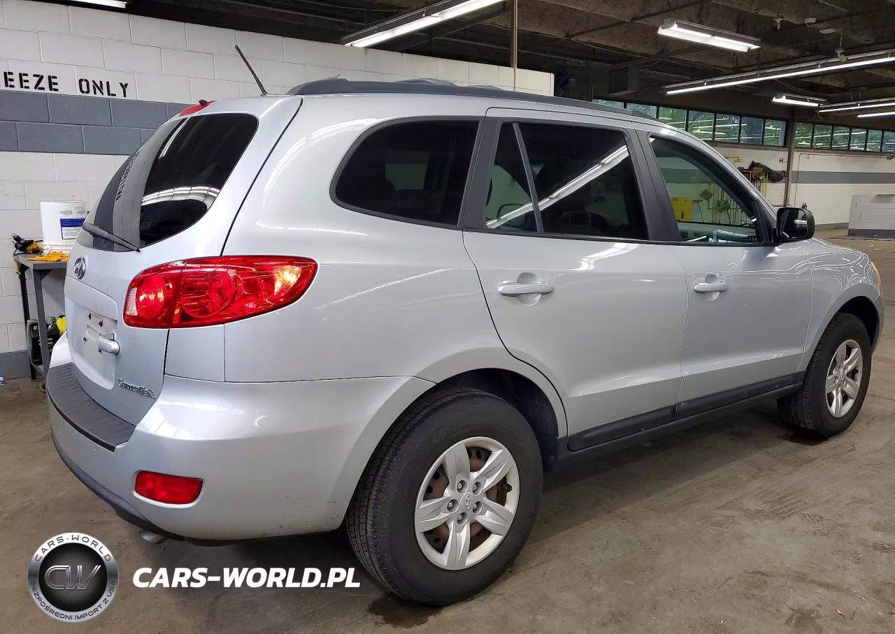 2009 Hyundai Santa Fe Gls VIN:5NMSG13D19H291081 - 3