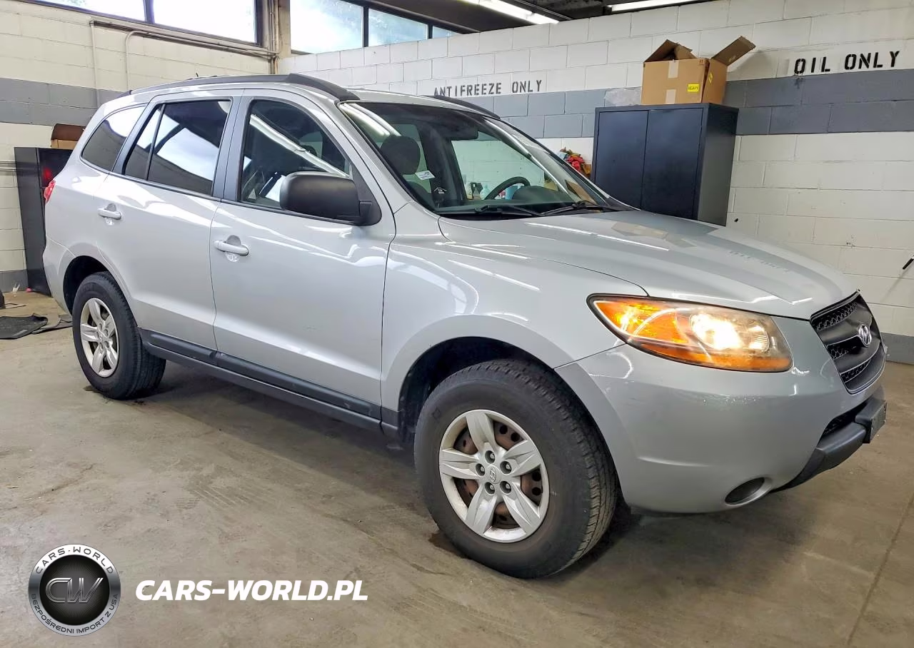 2009 Hyundai Santa Fe Gls VIN:5NMSG13D19H291081 - 4