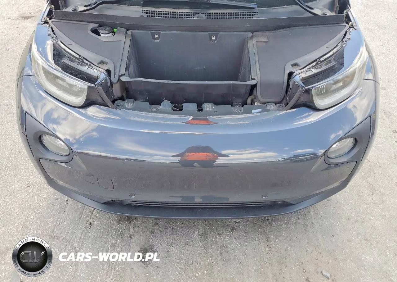 2015 BMW I3 Rex VIN:WBY1Z4C59FV500841 - 12