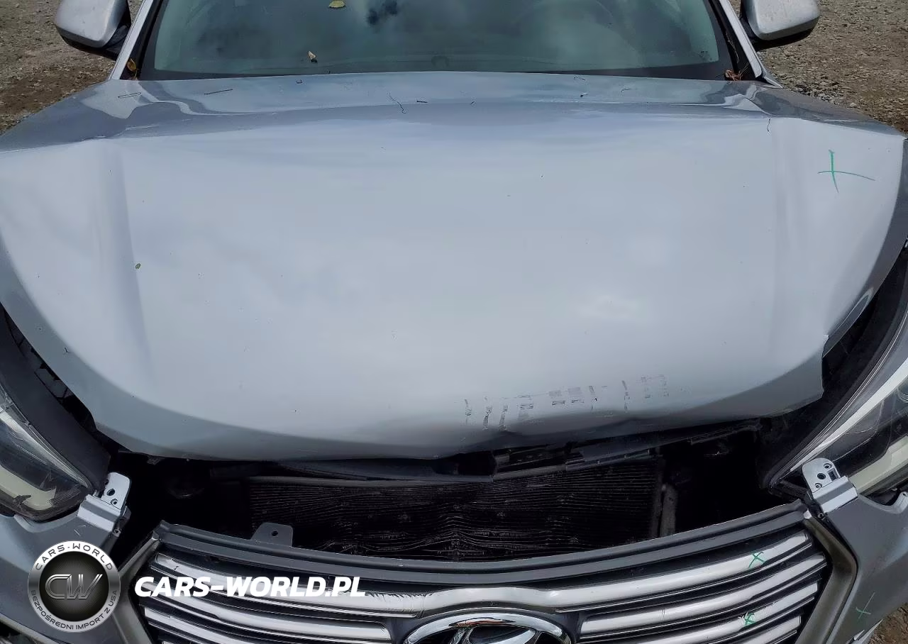 2017 Hyundai Santa Fe Se VIN:KM8SM4HF7HU206249 - 12