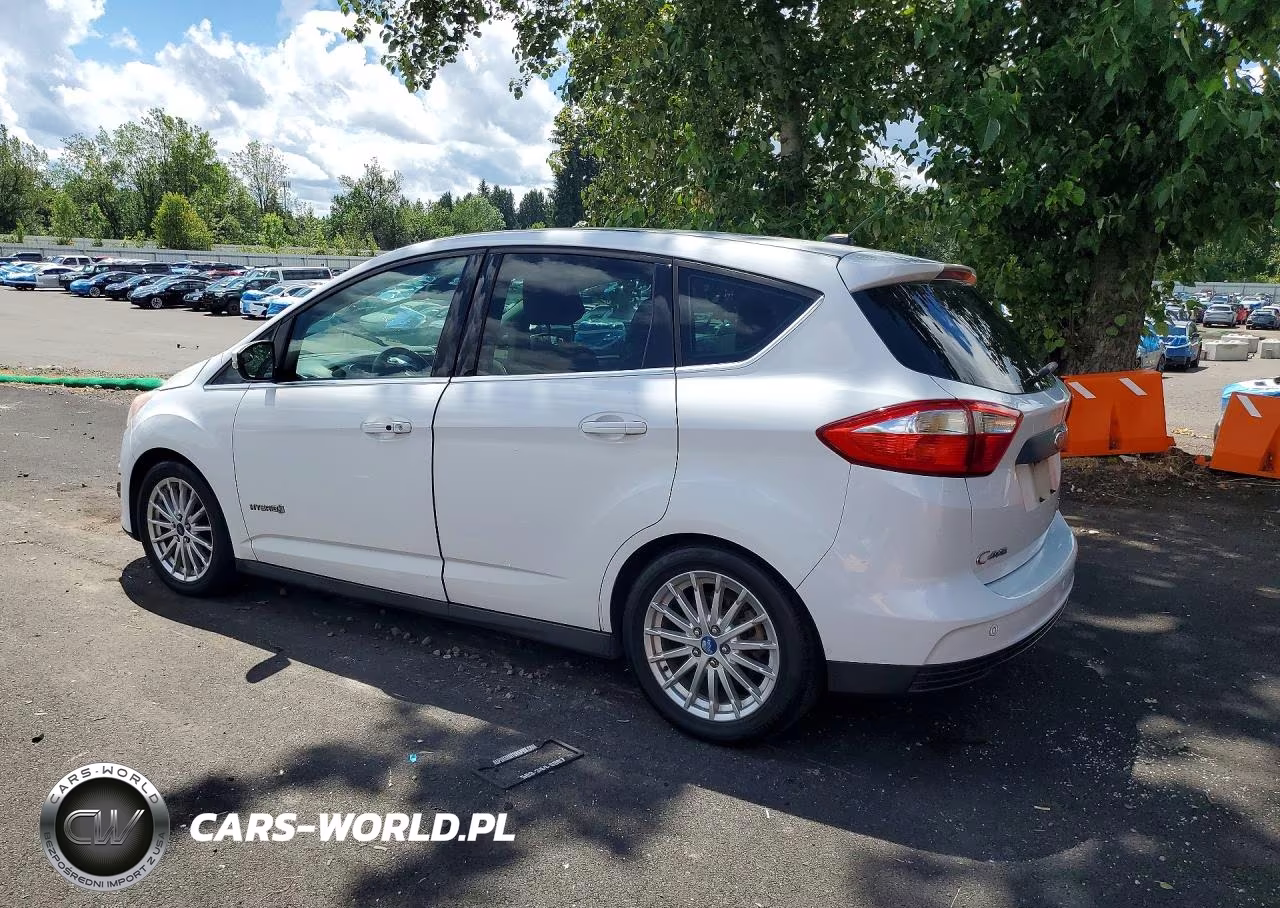 2013 Ford C-Max Sel VIN:1FADP5BU7DL524301 - 2