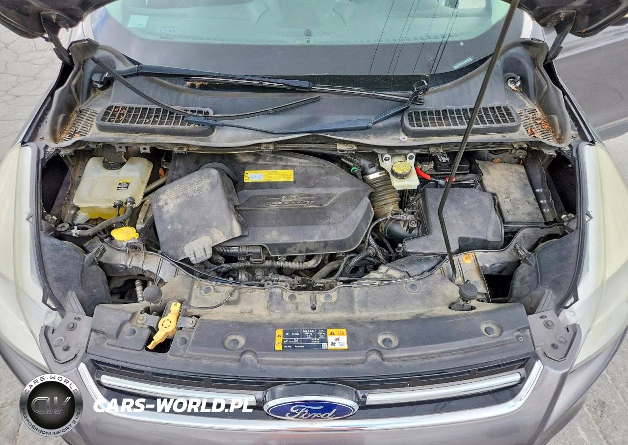 2013 Ford Escape Sel VIN:1FMCU0HX1DUA04555 - 12