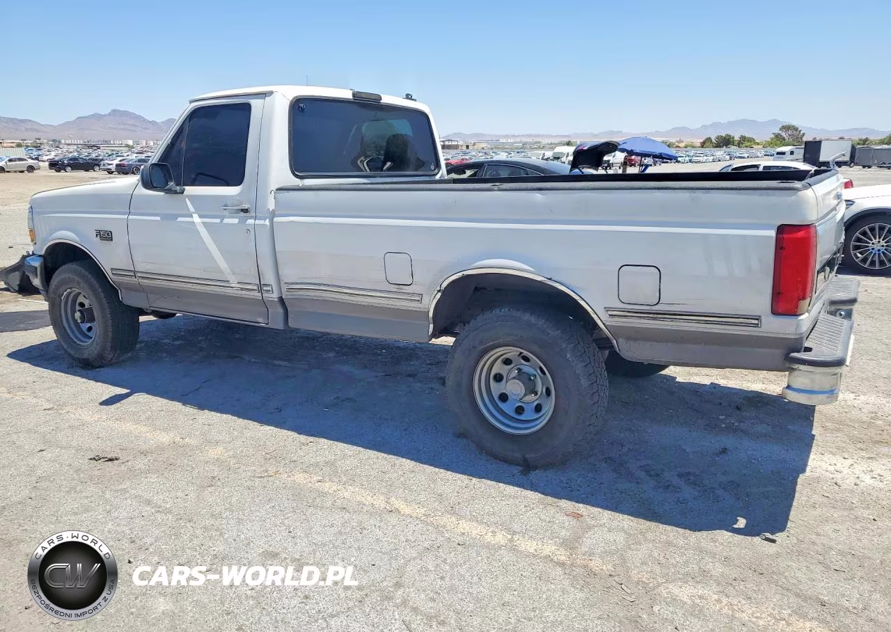 1995 Ford F150 VIN:1FTEF14N5SNB19894 - 2