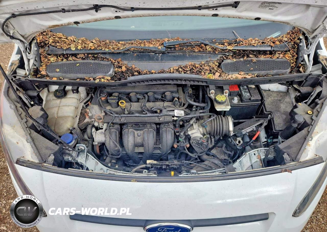 2015 Ford Transit Connect Xl VIN:NM0LS6E72F1213743 - 12
