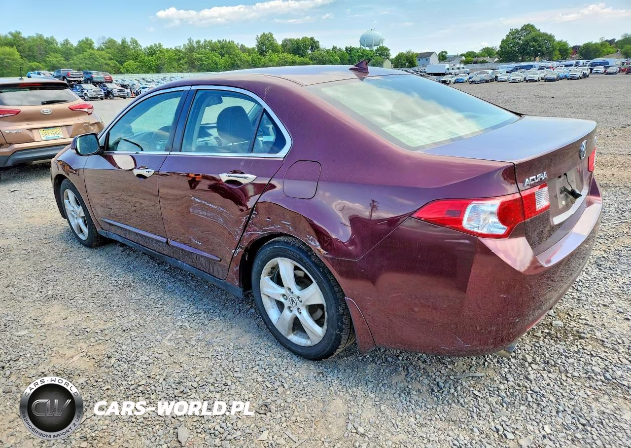 2009 Acura Tsx VIN:JH4CU26659C009571 - 2