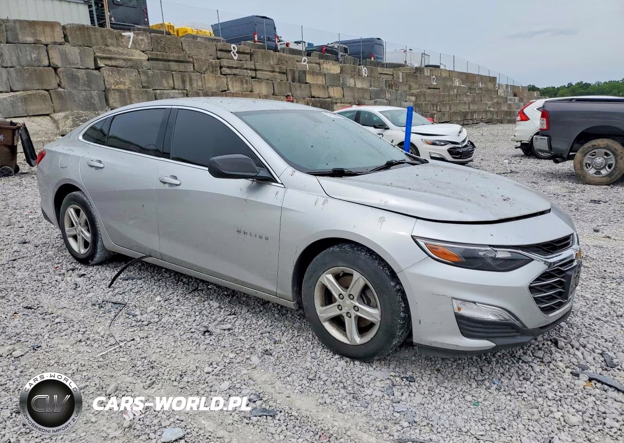 2020 Chevrolet Malibu Ls VIN:1G1ZB5ST8LF027883 - 4