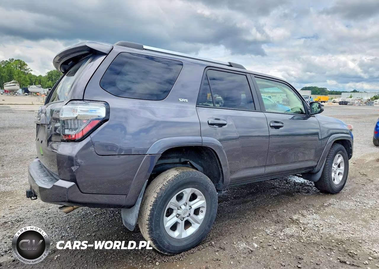 2019 Toyota 4Runner Sr5 Premium VIN:JTEZU5JRXK5209298 - 3