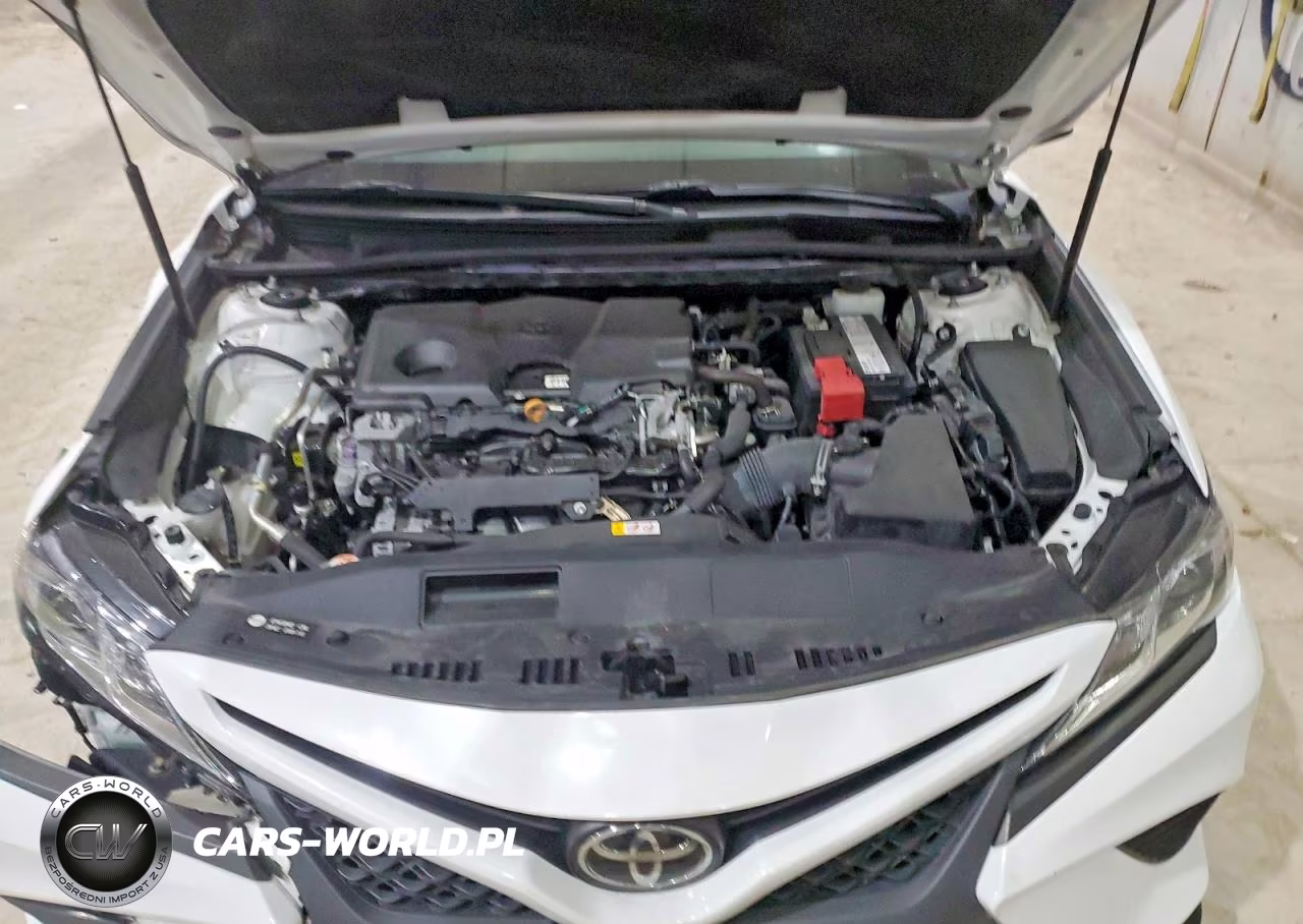 2019 Toyota Camry Se VIN:4T1B11HK4KU187171 - 11