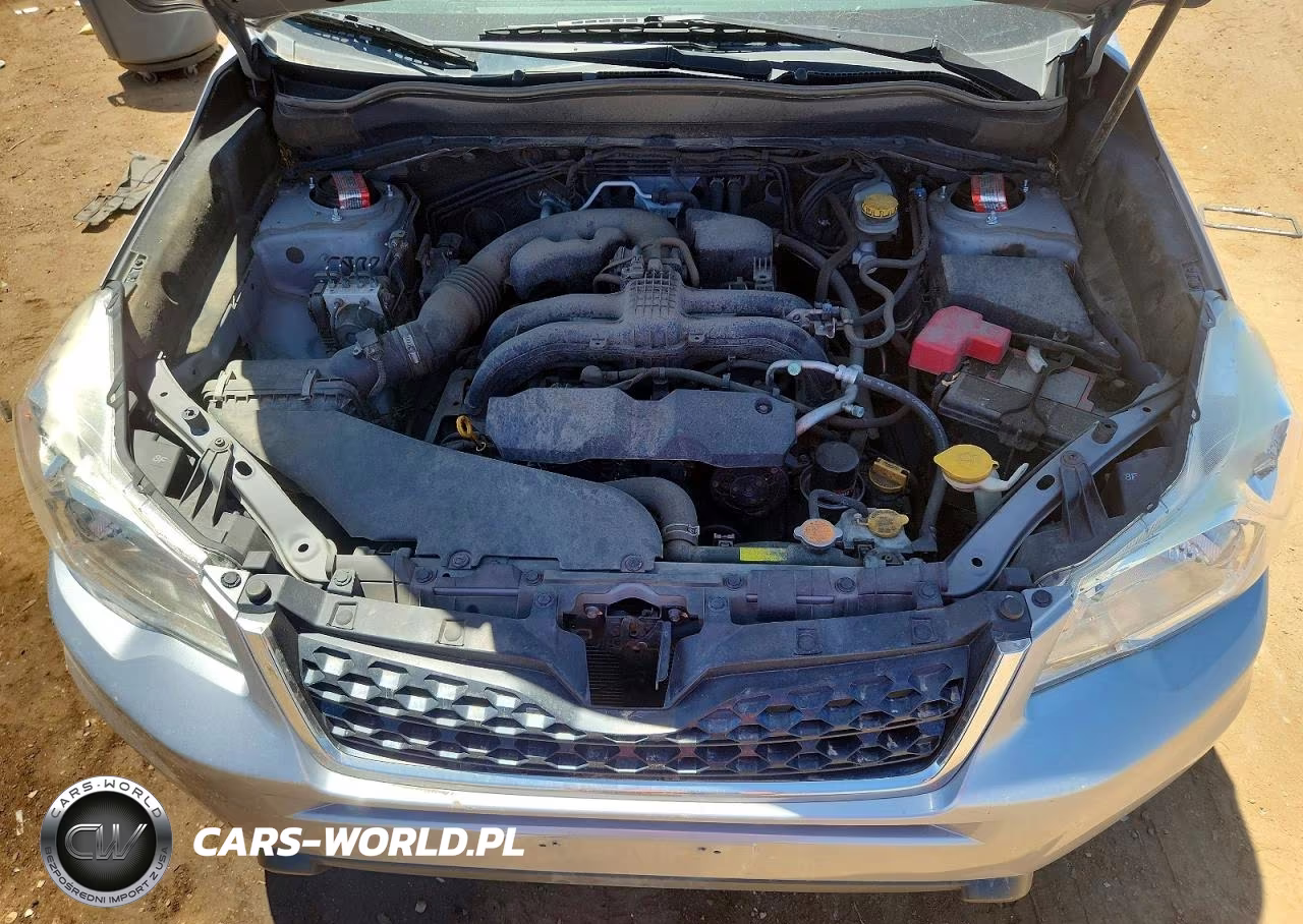 2016 Subaru Forester 2.5I VIN:JF2SJABC4GH455823 - 12