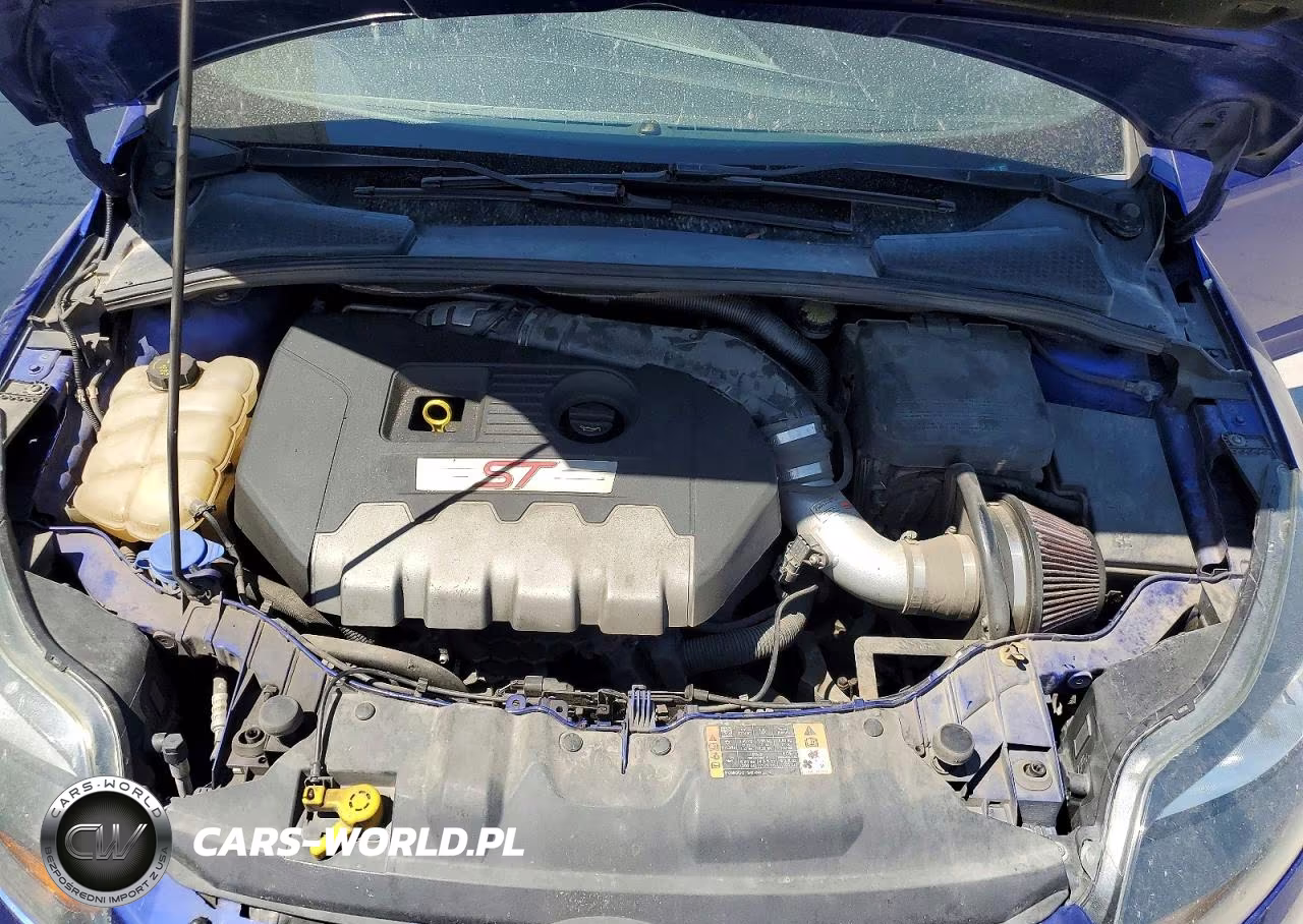 2014 Ford Focus St VIN:1FADP3L95EL391926 - 11