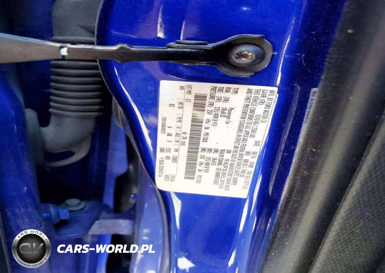 2014 Ford Focus St VIN:1FADP3L95EL391926 - 12