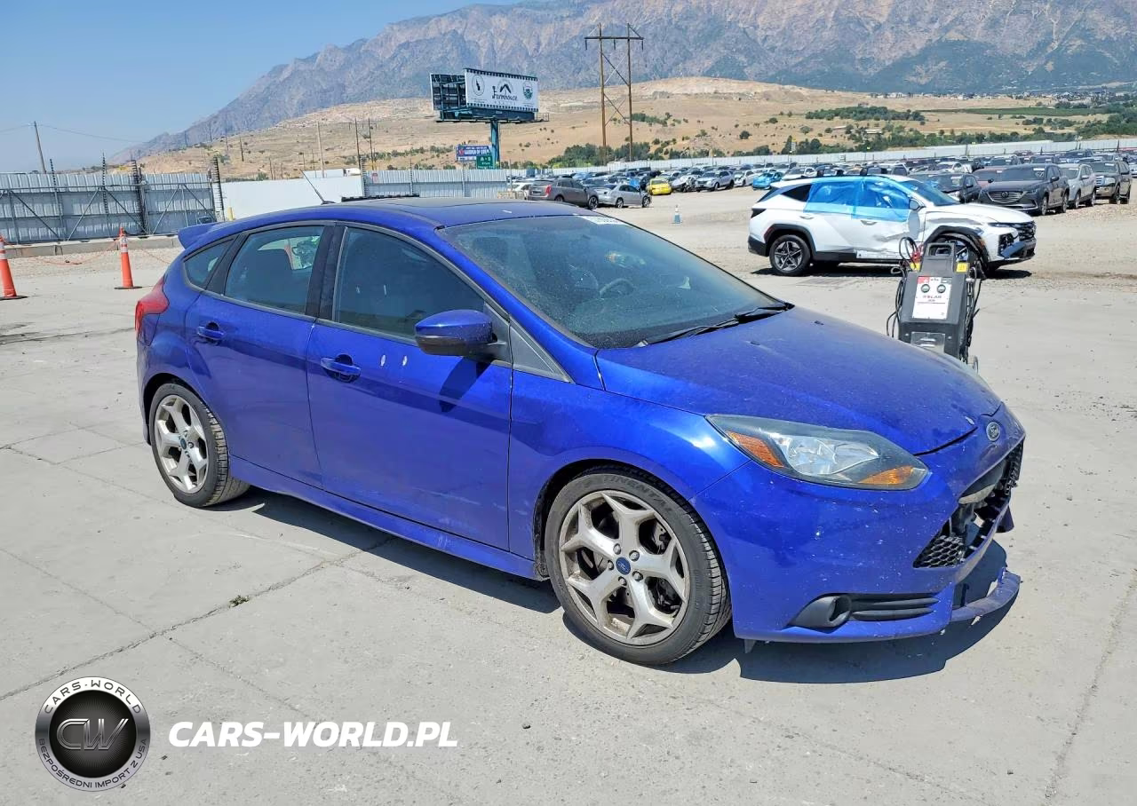 2014 Ford Focus St VIN:1FADP3L95EL391926 - 4