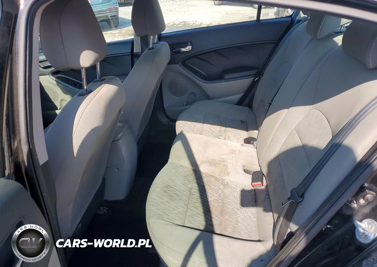 2014 Kia Forte Lx VIN:KNAFK4A68E5065569 - 10