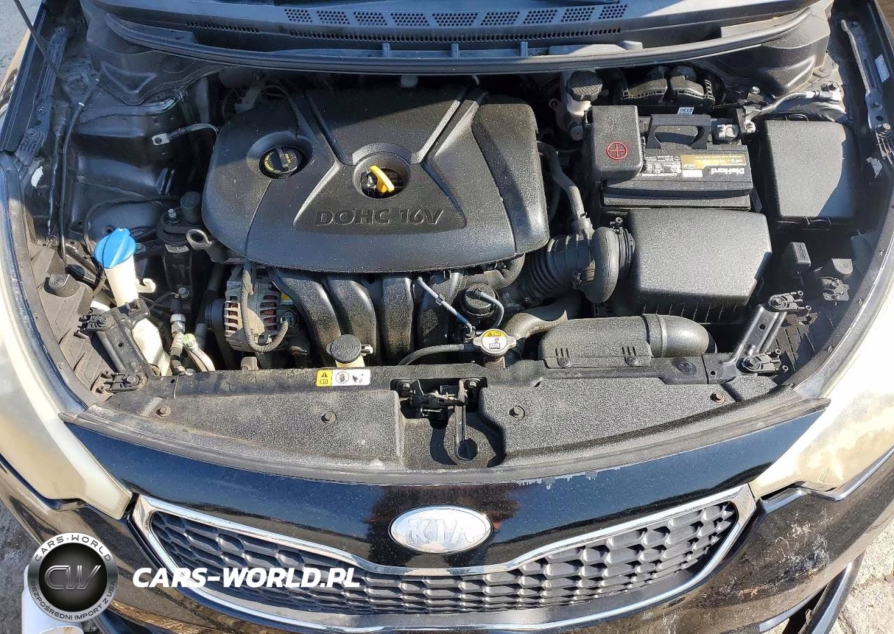 2014 Kia Forte Lx VIN:KNAFK4A68E5065569 - 11