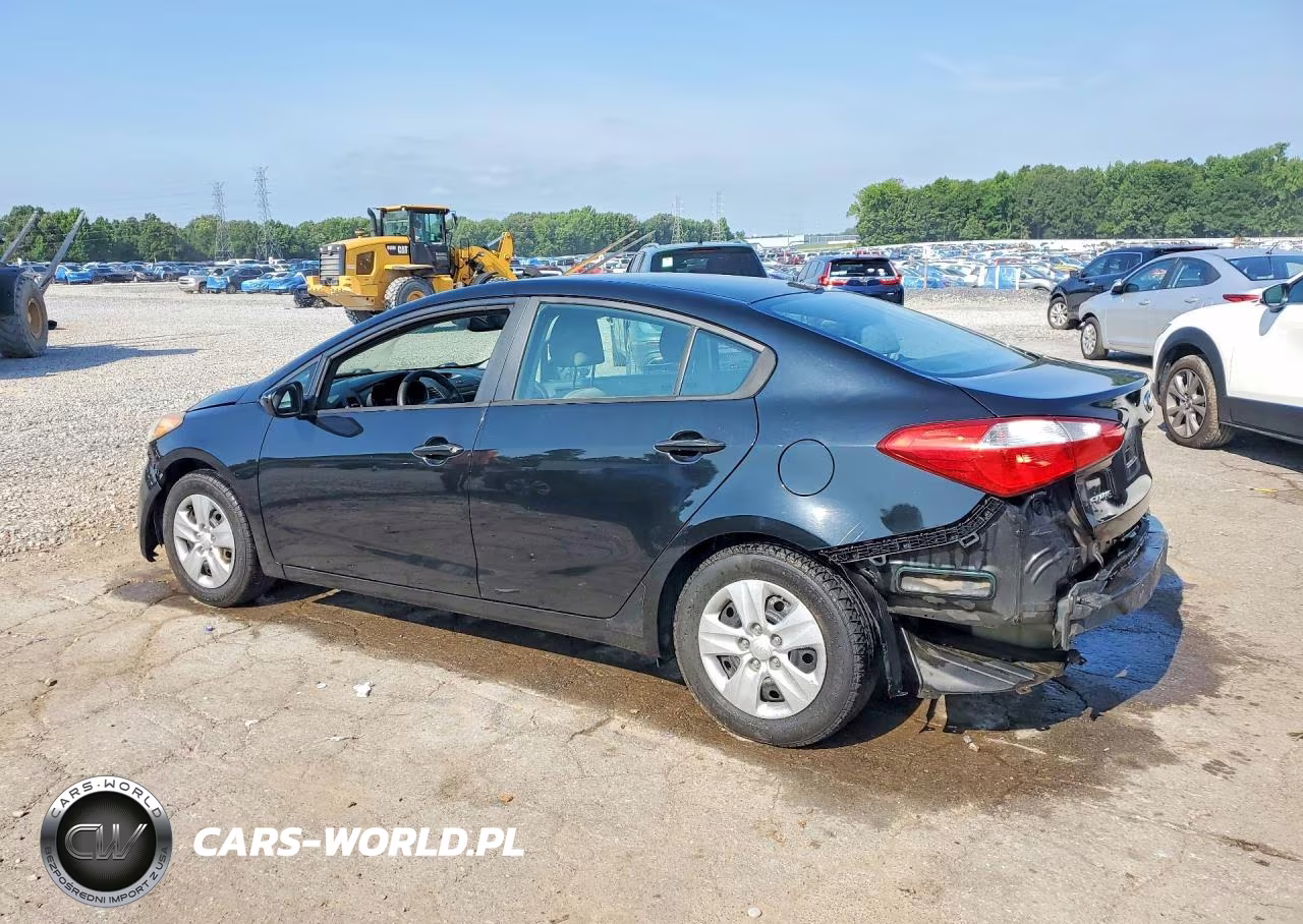 2014 Kia Forte Lx VIN:KNAFK4A68E5065569 - 2