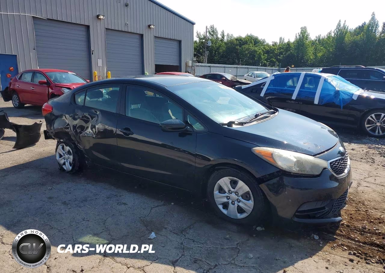 2014 Kia Forte Lx VIN:KNAFK4A68E5065569 - 4