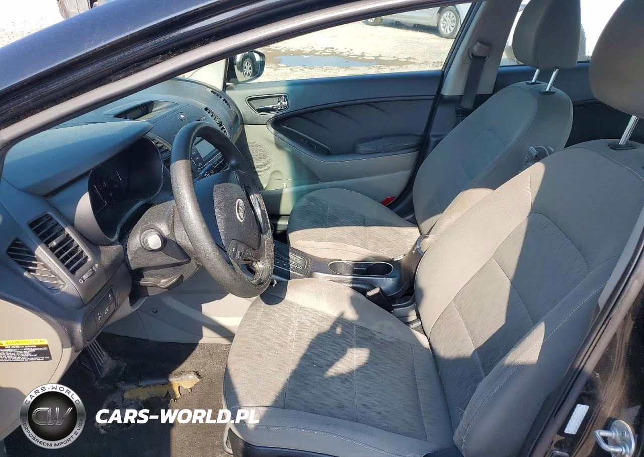 2014 Kia Forte Lx VIN:KNAFK4A68E5065569 - 7