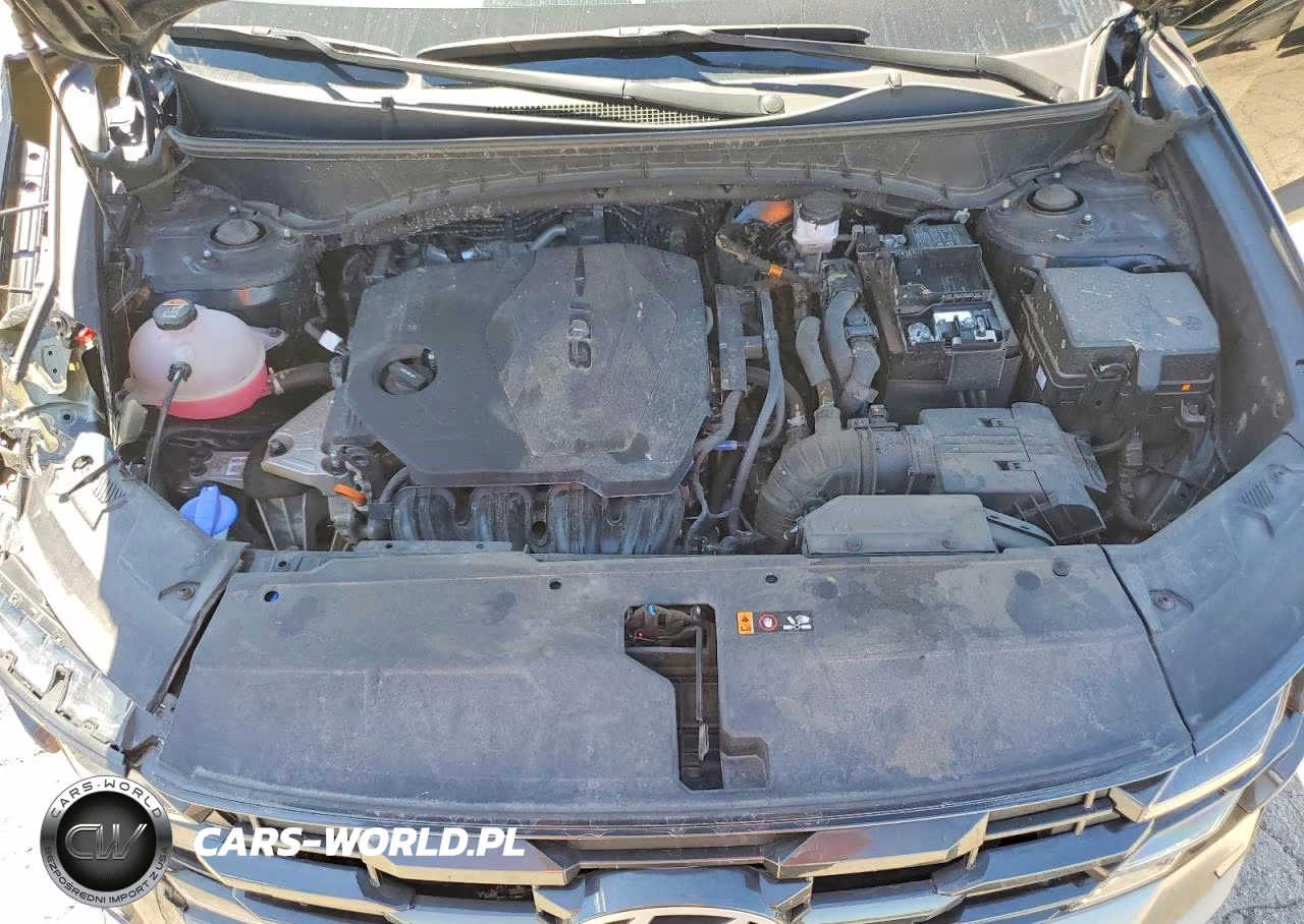 2025 Hyundai Tucson Sel VIN:5NMJB3DE1SH553989 - 12