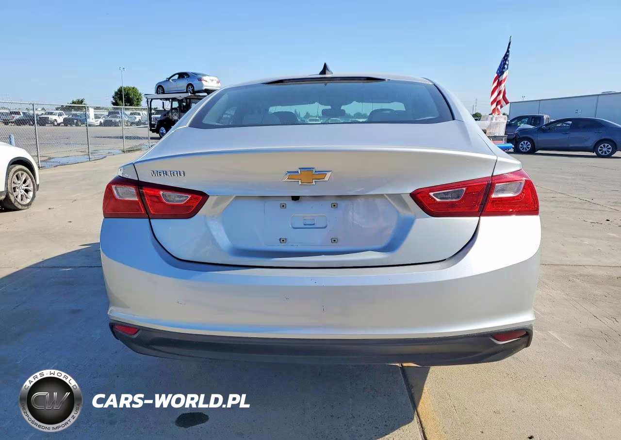 2020 Chevrolet Malibu L VIN:1G1ZA5ST3LF140353 - 6