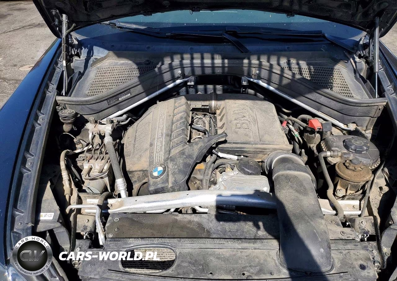 2013 BMW X6 xDrive35I VIN:5UXFG2C53DL786744 - 12