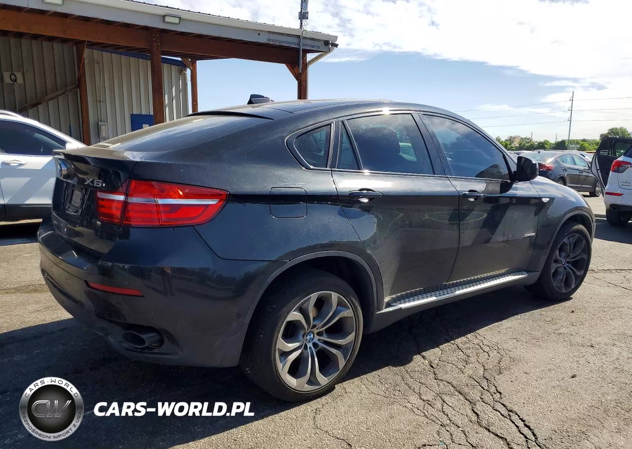 2013 BMW X6 xDrive35I VIN:5UXFG2C53DL786744 - 3