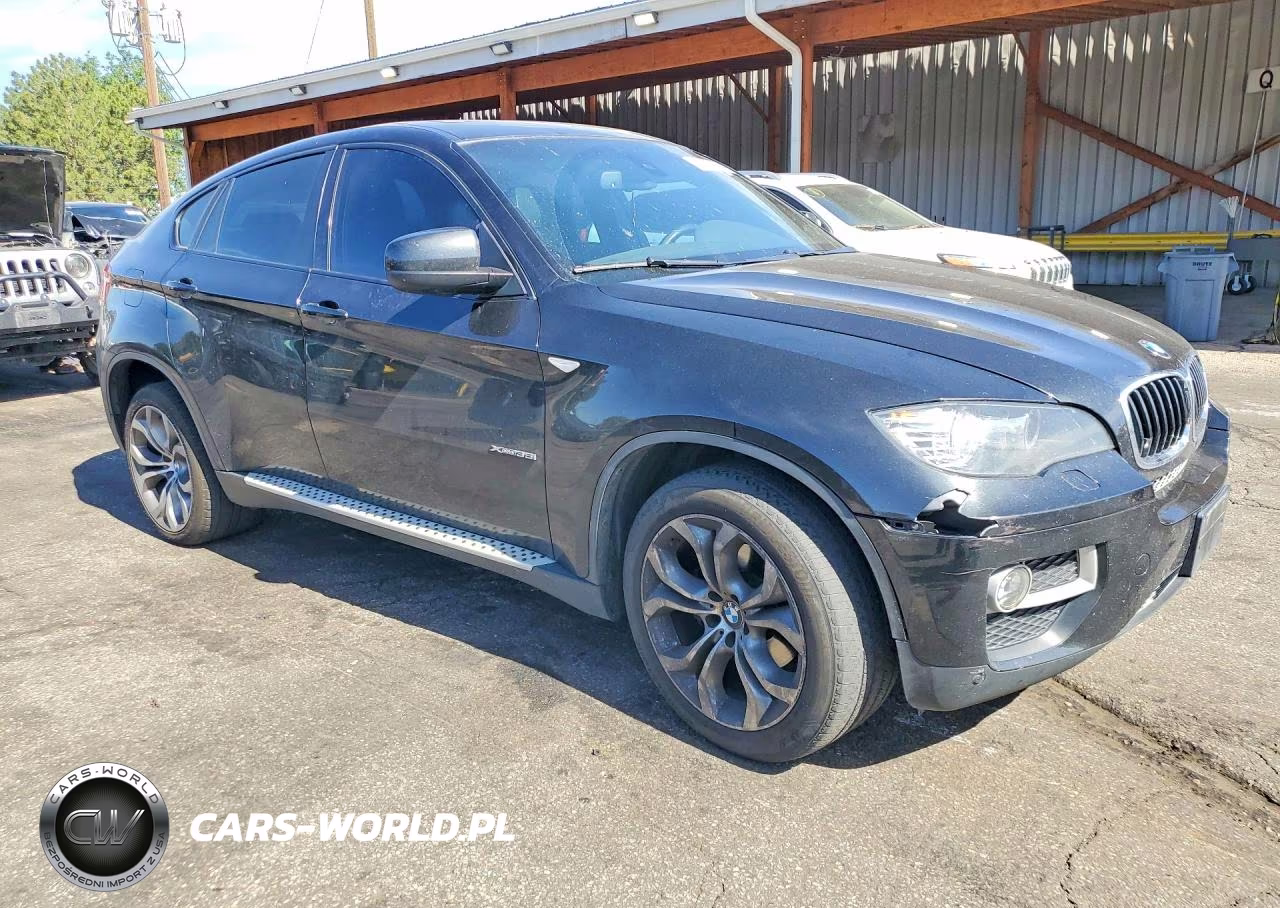 2013 BMW X6 xDrive35I VIN:5UXFG2C53DL786744 - 4