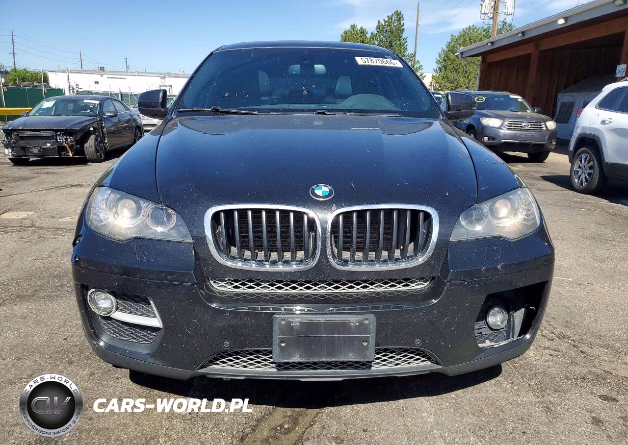 2013 BMW X6 xDrive35I VIN:5UXFG2C53DL786744 - 5