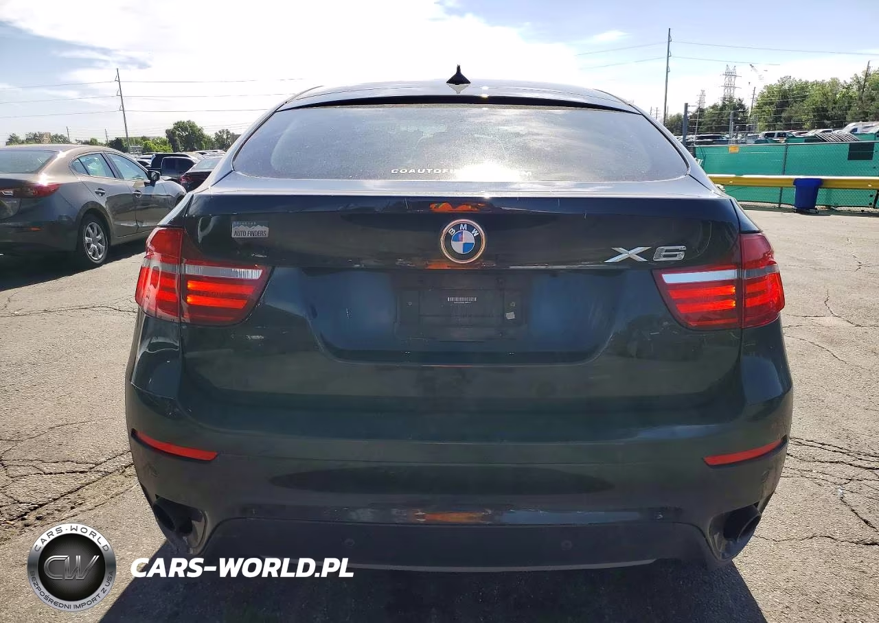 2013 BMW X6 xDrive35I VIN:5UXFG2C53DL786744 - 6