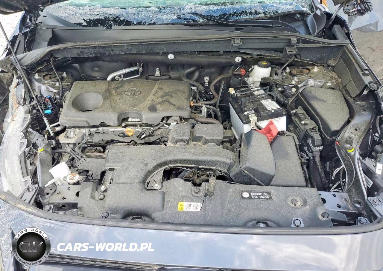 2025 Toyota Rav4 Xle VIN:2T3P1RFV5SC504840 - 12