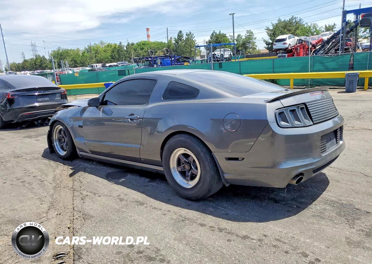 2013 Ford Mustang Gt VIN:1ZVBP8CF8D5231205 - 2