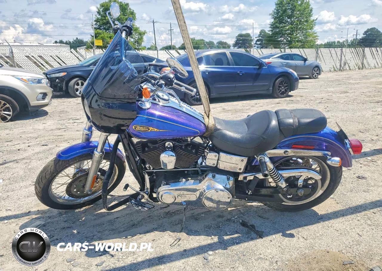 2009 Harley-Davidson Fxdl VIN:1HD1GN4169K319564 - 3
