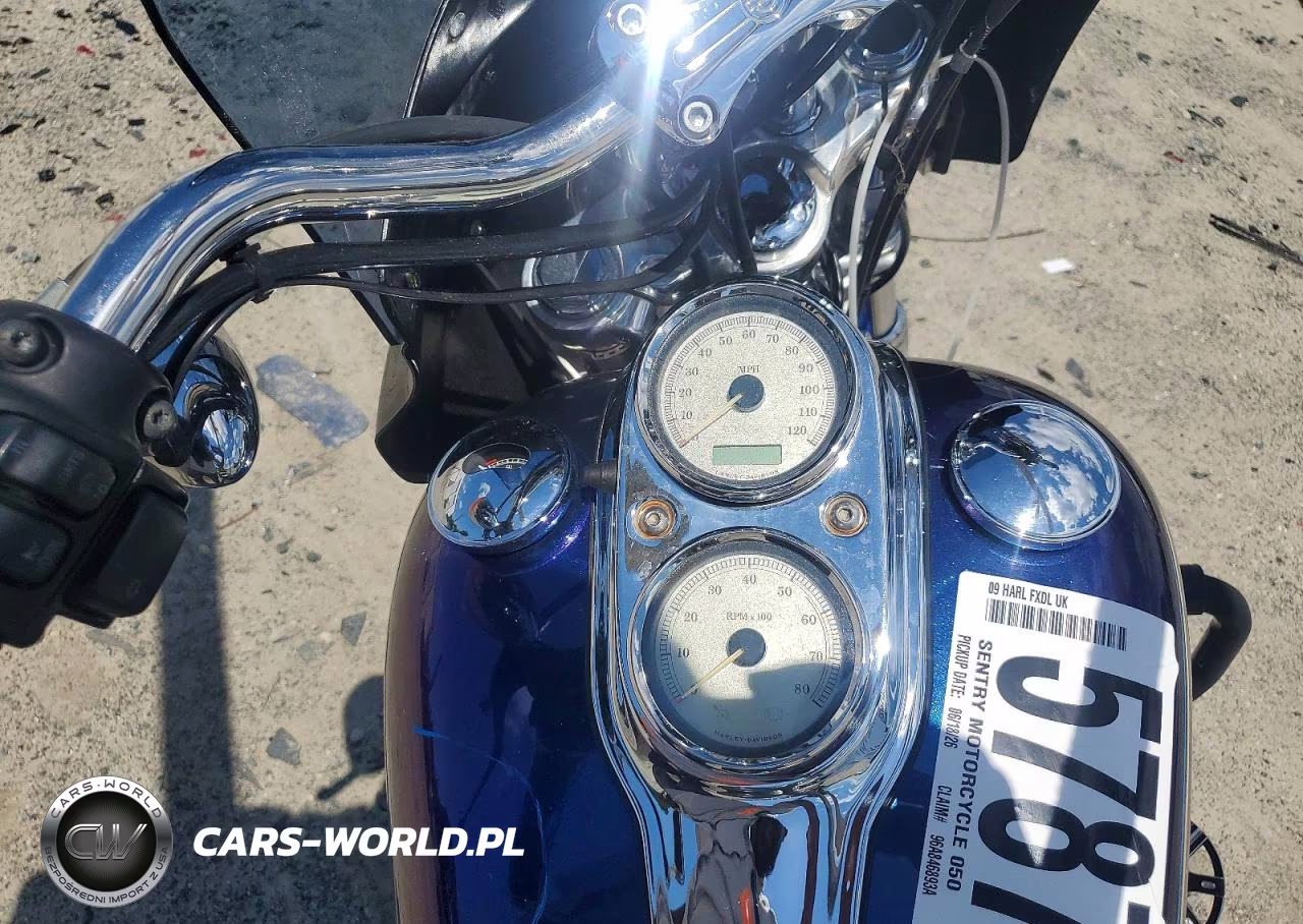 2009 Harley-Davidson Fxdl VIN:1HD1GN4169K319564 - 7