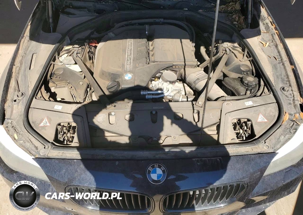 2013 BMW 535 I VIN:WBAFR7C59DC823026 - 11