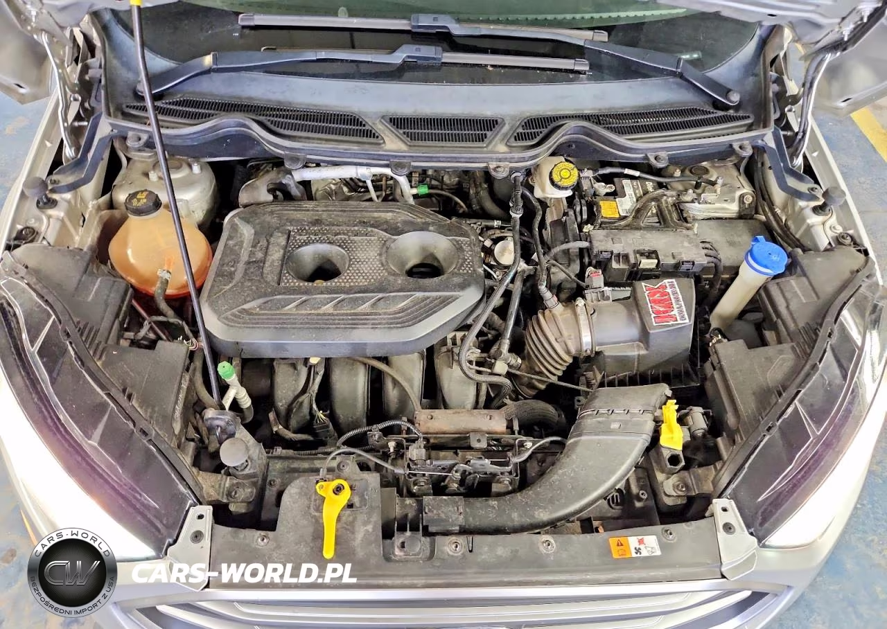 2018 Ford Ecosport Se VIN:MAJ6P1ULXJC206108 - 11