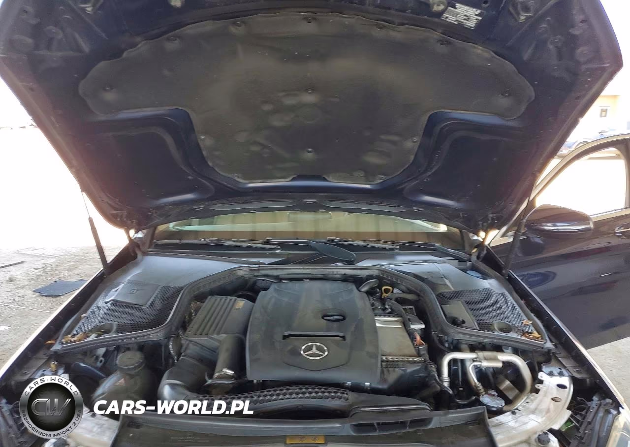 2018 Mercedes-Benz C 300 VIN:55SWF4JB5JU242350 - 11