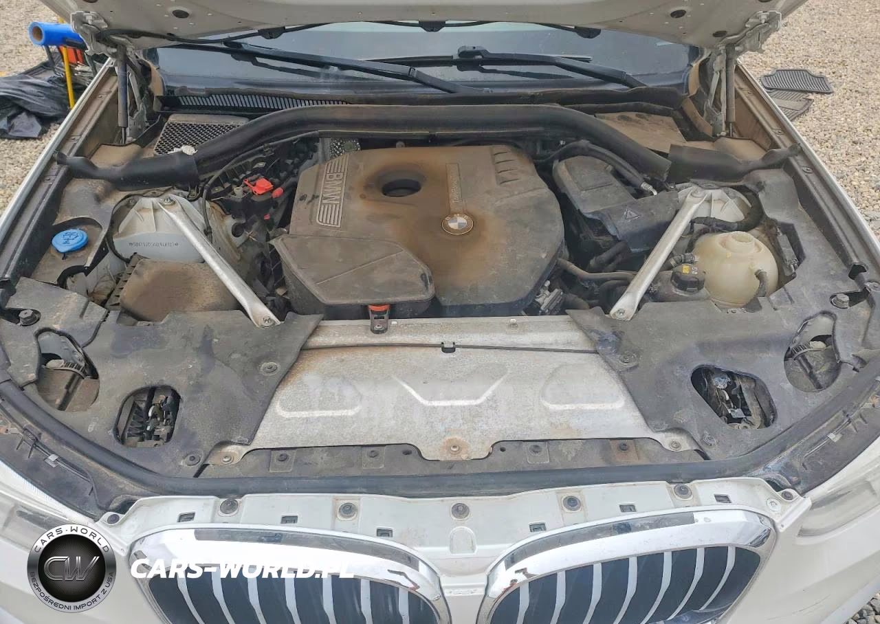 2019 BMW X3 VIN:5UXTR7C5XKLR48389 - 12