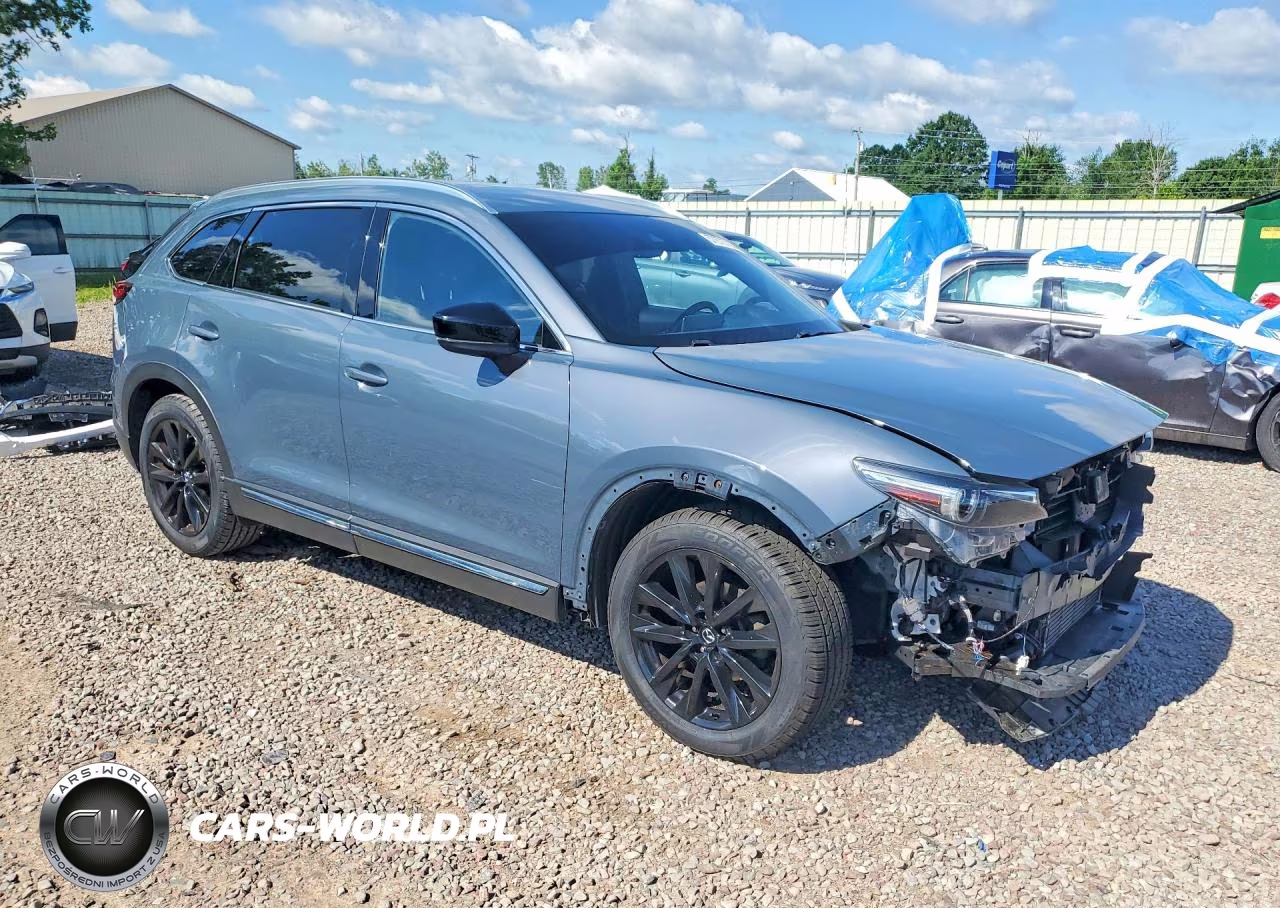 2022 Mazda Cx-9 Grand Touring VIN:JM3TCBDY2N0609136 - 4