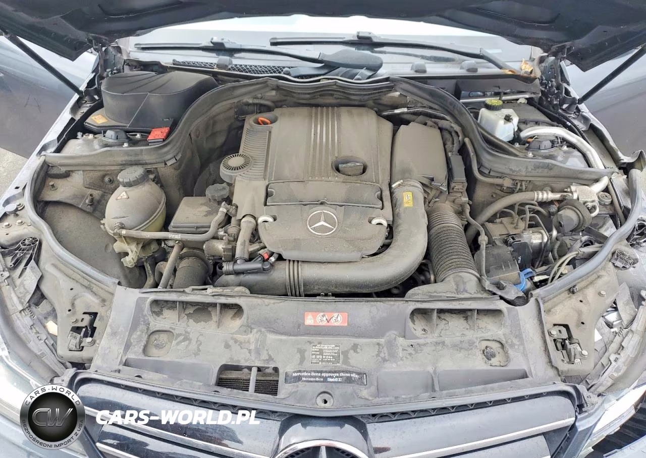 2014 Mercedes-Benz C 250 VIN:WDDGJ4HB8EG288850 - 11