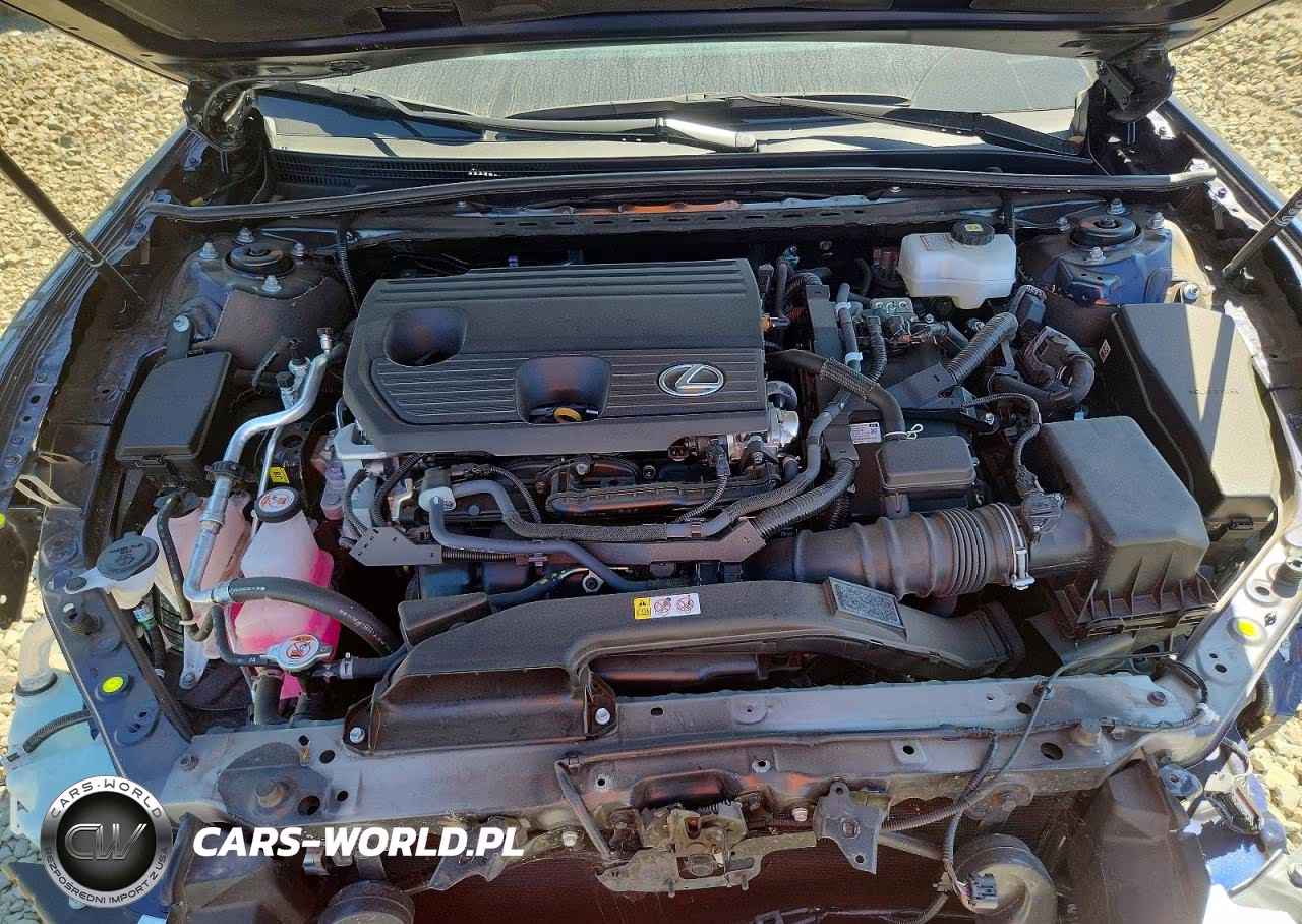 2025 Lexus Es 300H Base VIN:58ADA1C10SU066122 - 11