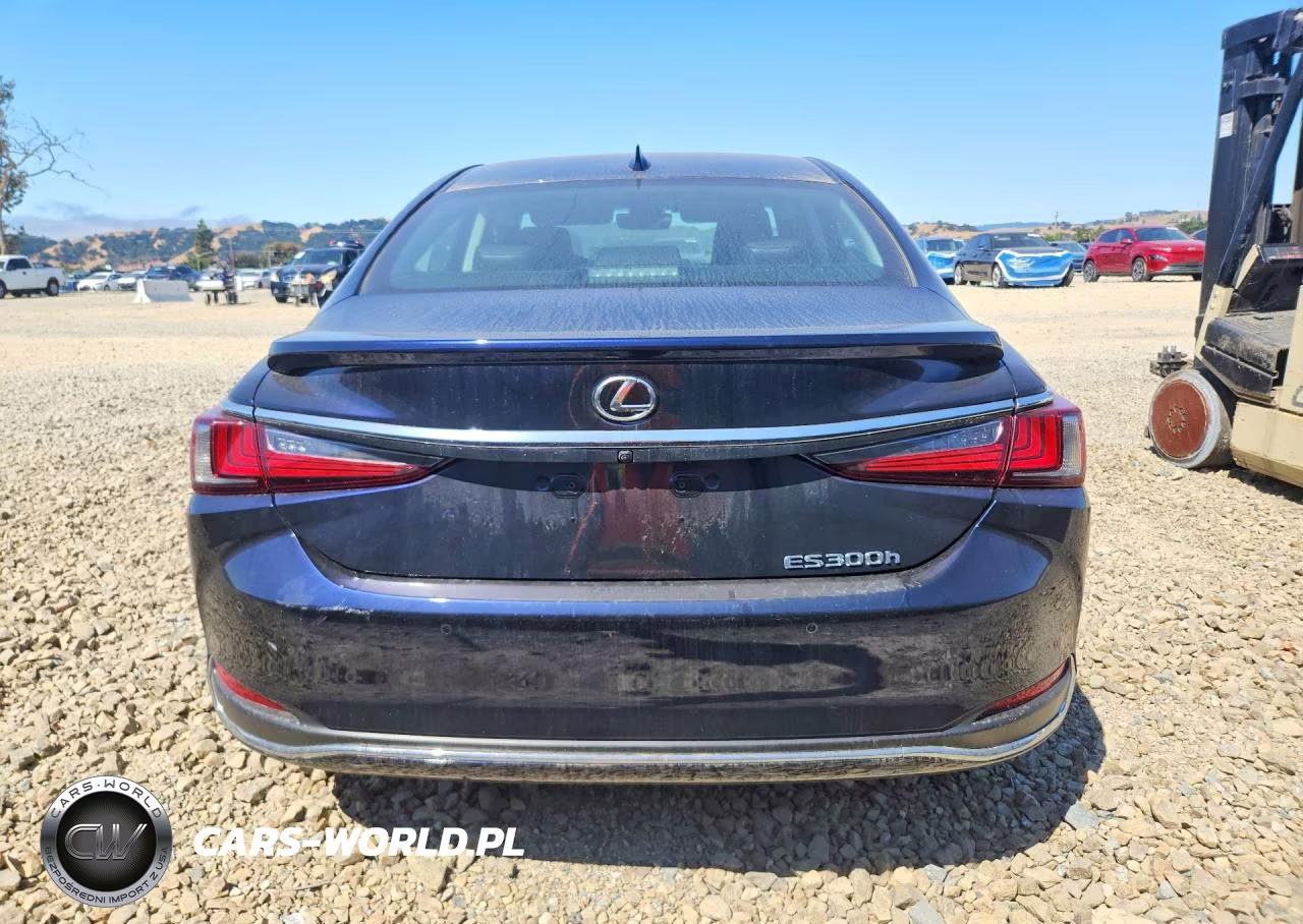 2025 Lexus Es 300H Base VIN:58ADA1C10SU066122 - 6