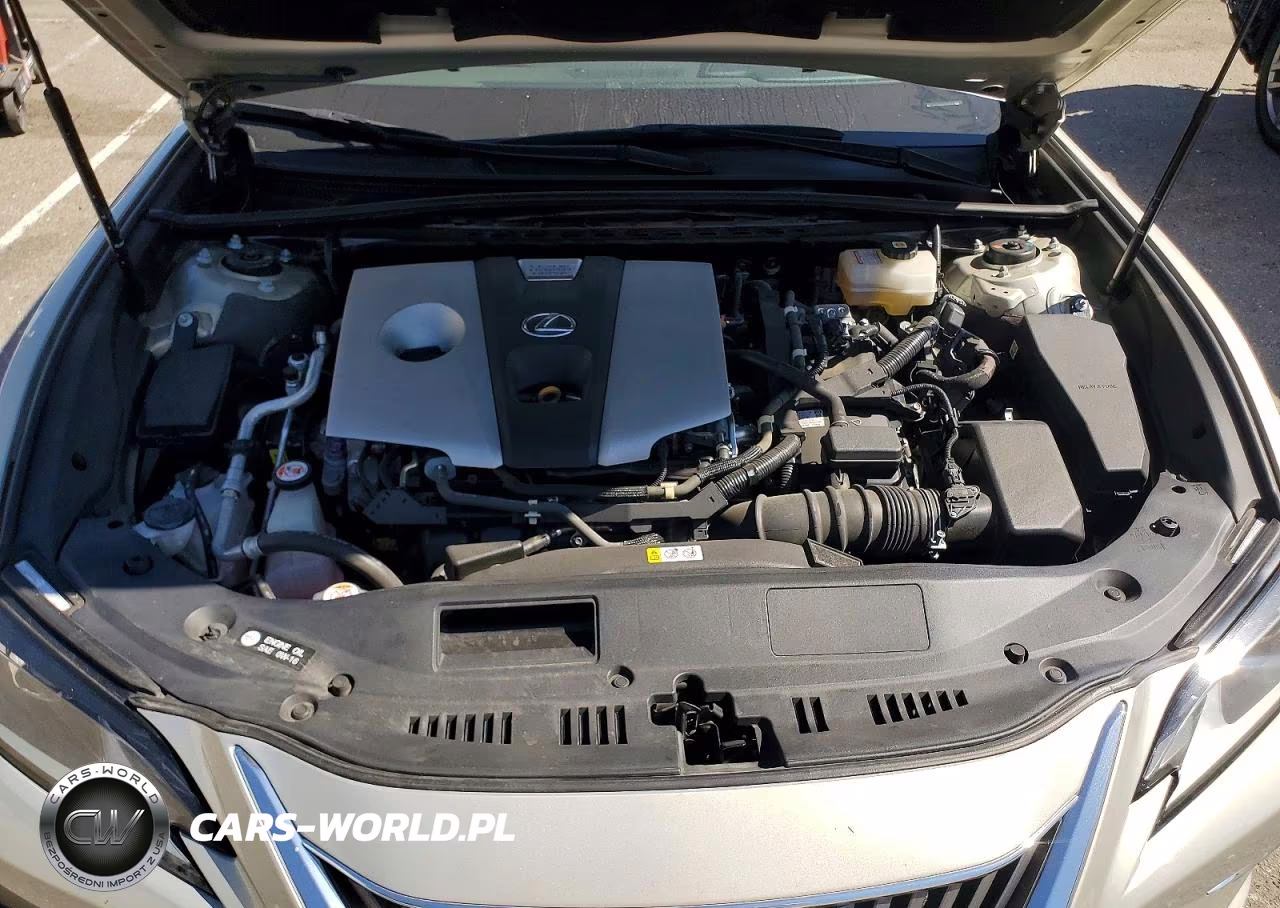 2020 Lexus Es 300H VIN:58AD21B15LU011276 - 11