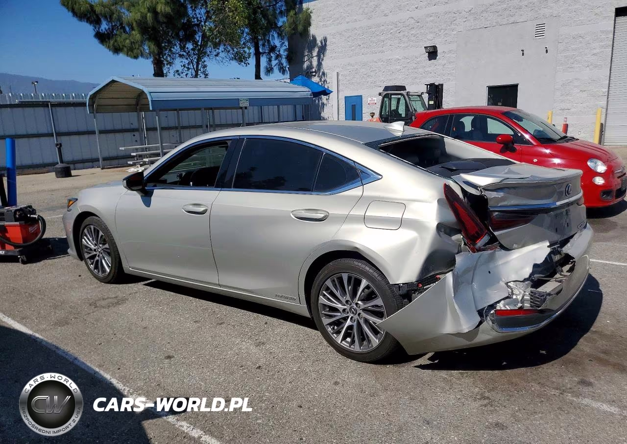 2020 Lexus Es 300H VIN:58AD21B15LU011276 - 2
