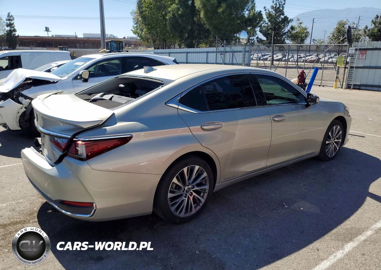 2020 Lexus Es 300H VIN:58AD21B15LU011276 - 3