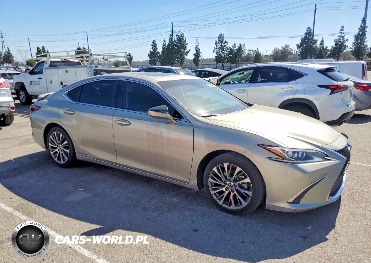 2020 Lexus Es 300H VIN:58AD21B15LU011276 - 4