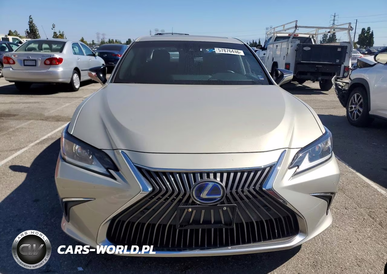 2020 Lexus Es 300H VIN:58AD21B15LU011276 - 5