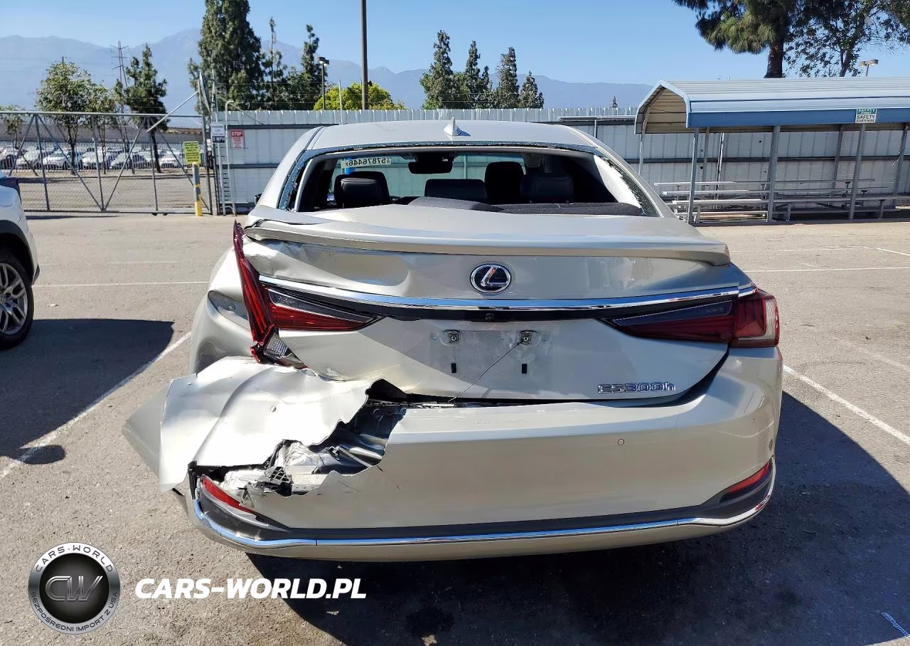 2020 Lexus Es 300H VIN:58AD21B15LU011276 - 6