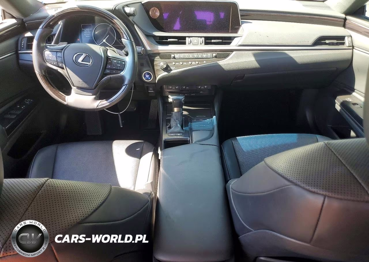 2020 Lexus Es 300H VIN:58AD21B15LU011276 - 8