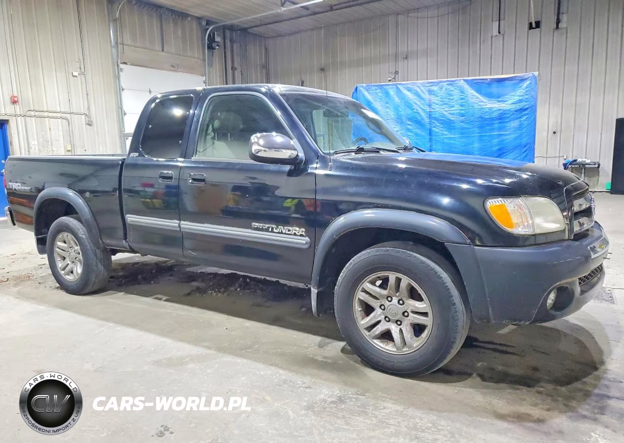 2004 Toyota Tundra Access Cab Sr5 VIN:5TBRT34114S452506 - 4