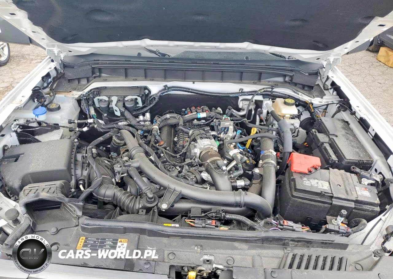 2024 Ford Bronco Badlands VIN:1FMEE9BP5RLA75922 - 12